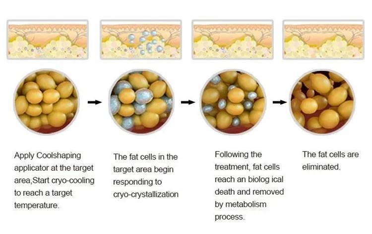 fat reduction